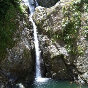 Meet your Posher, Yvette